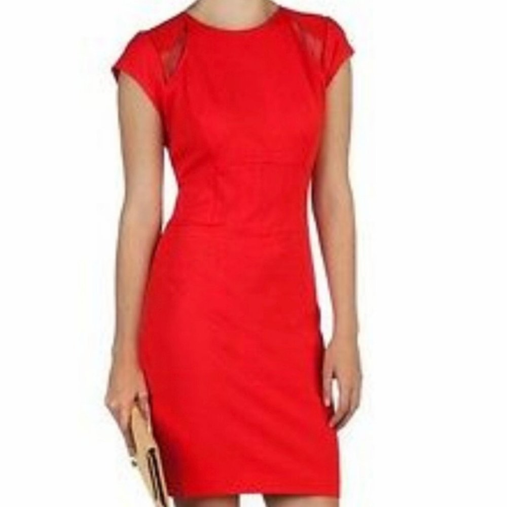 New Ted Baker London Shift Dress
